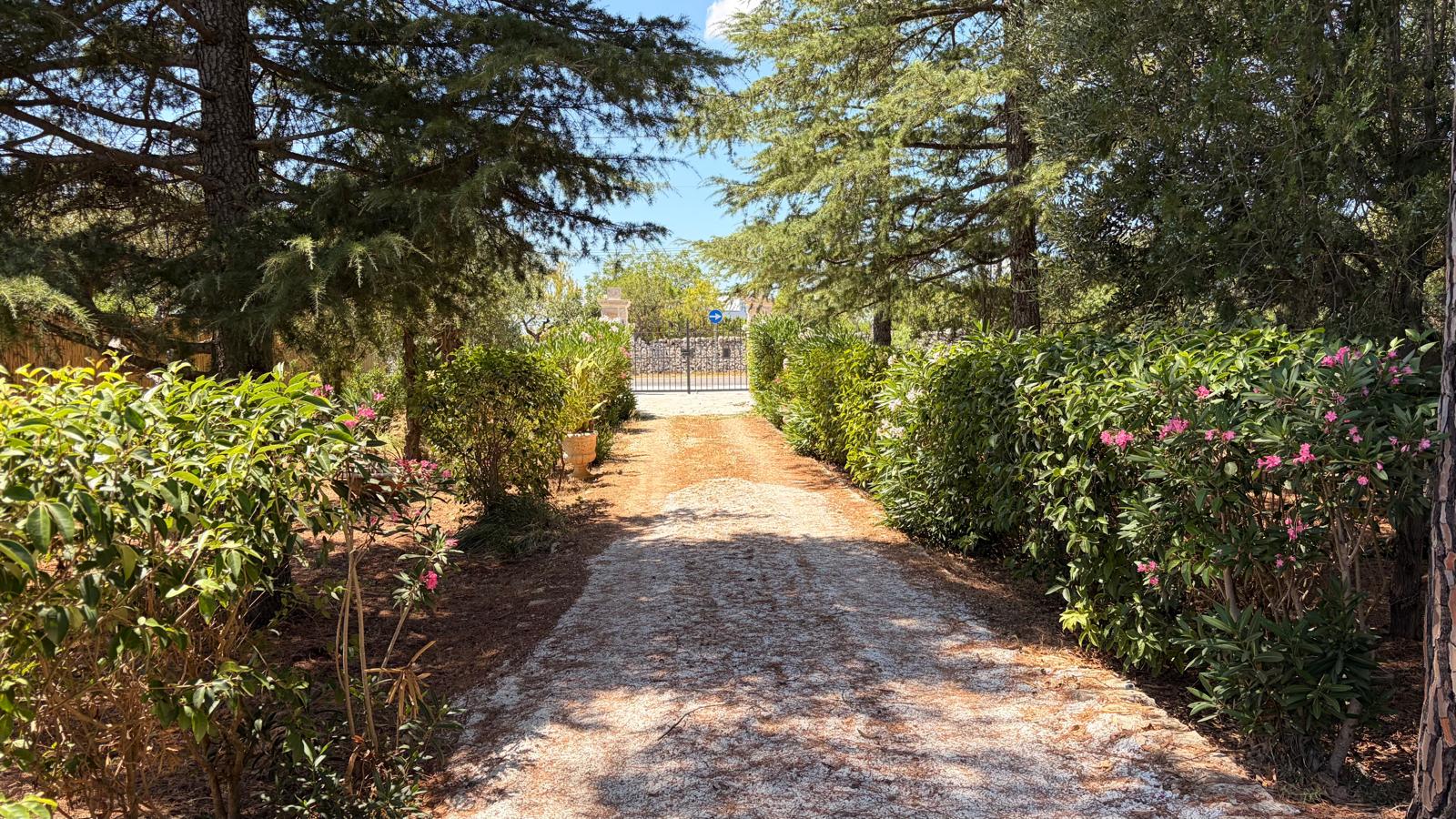 Trulli Comunicanti, Restaurati con Antico Camino, Ulivi Secolari.